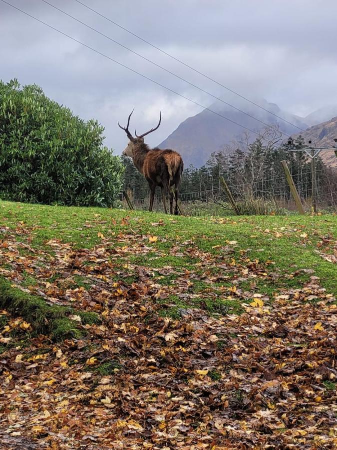 Ormasaig, Self Catering, One Mile To Town & Close To Ben Nevis Villa Fort William Kültér fotó