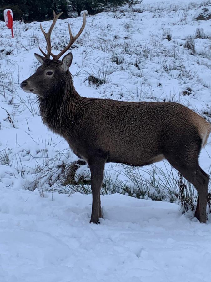 Ormasaig, Self Catering, One Mile To Town & Close To Ben Nevis Villa Fort William Kültér fotó